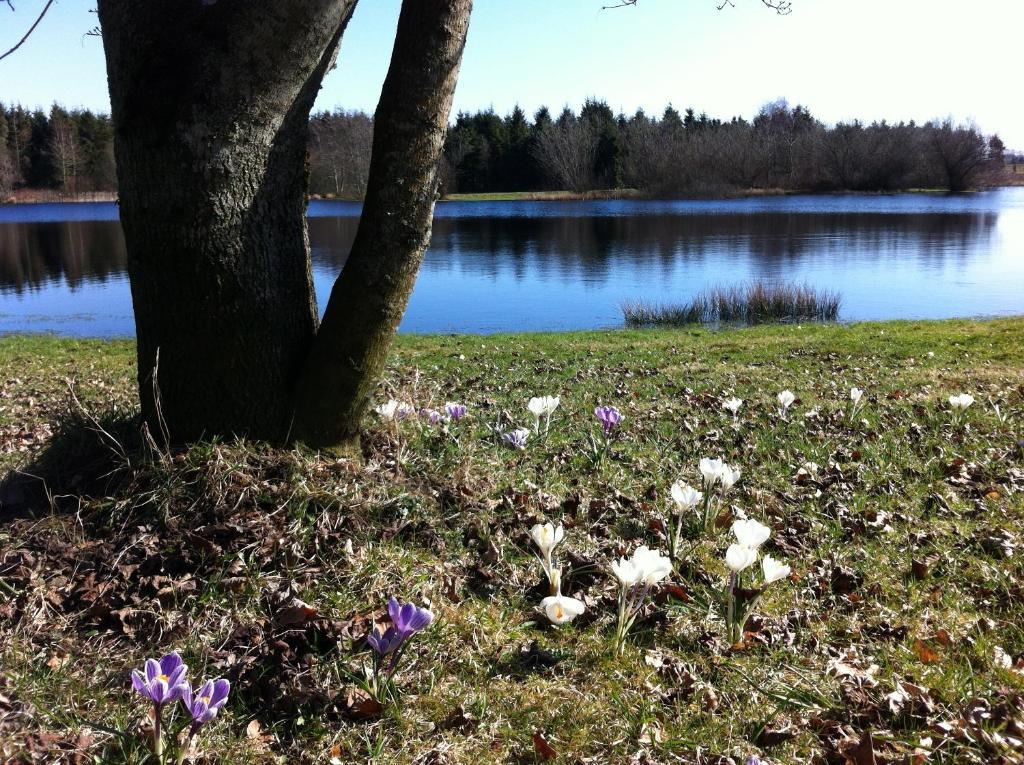 Tollundgaard Golf Park & Apartments Funder Kirkeby Esterno foto